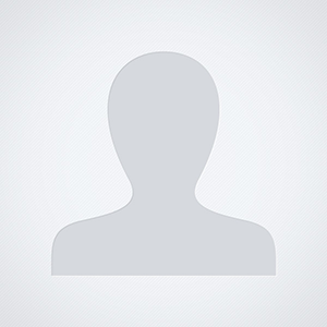 International Institute for Democracy and Electoral Assistance (International IDEA)