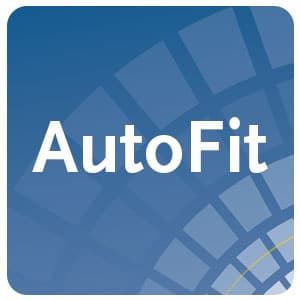 AutoFit